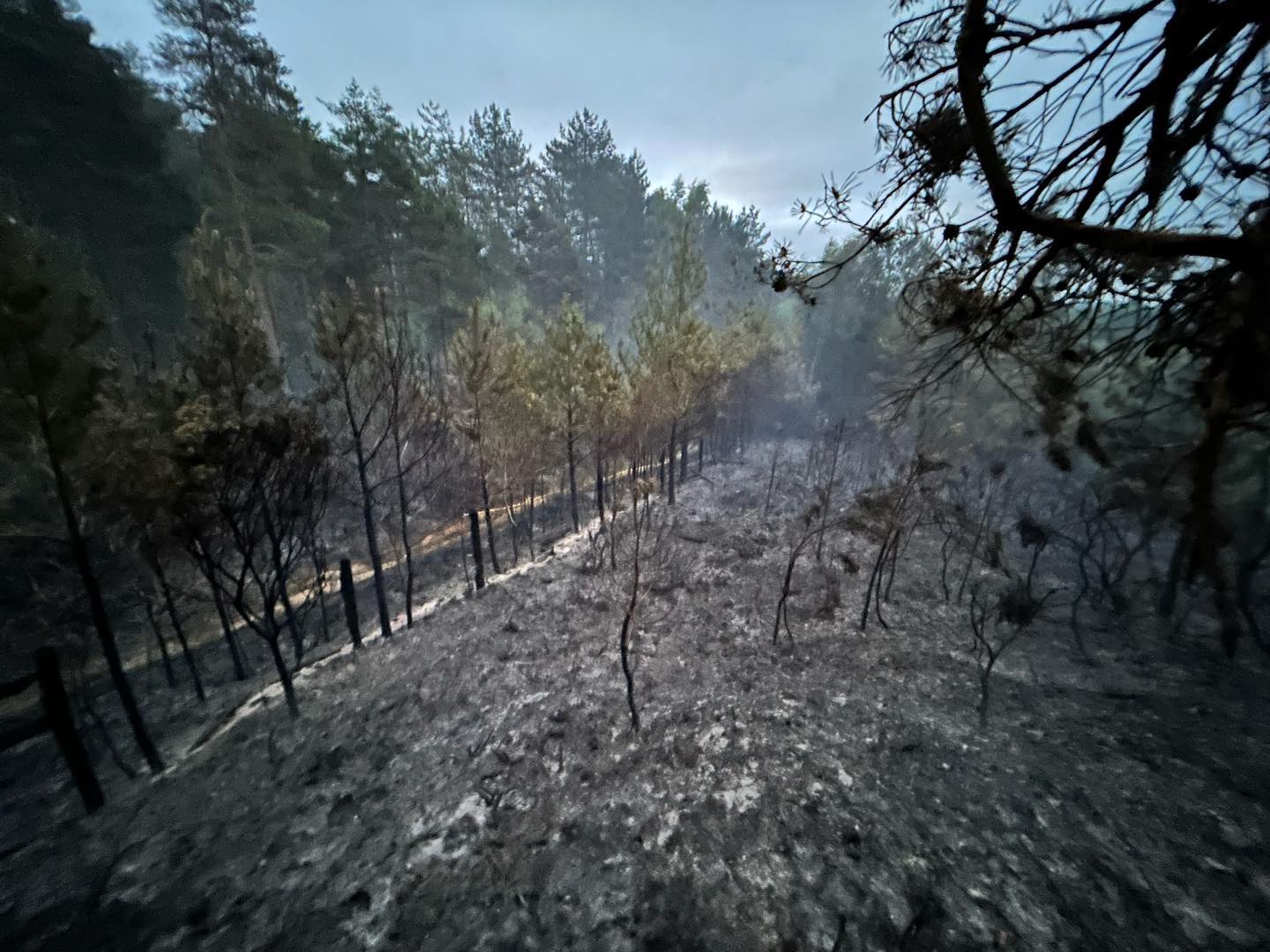 Fire broke out in Verwood Forest on Wednesday afternoon. Picture: Swanage Fire Station