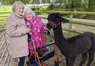 Residents were able to get up close and personal with the alpacas in Shaftesbury