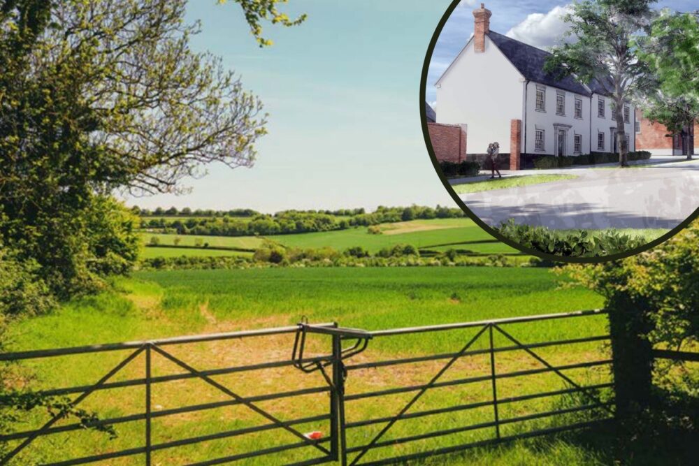 A total of 490 new homes could be built between Blandford and Pimperne