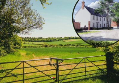 A total of 490 new homes could be built between Blandford and Pimperne