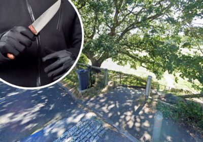 The incident unfolded in Branscombe Recreation Ground, Poole