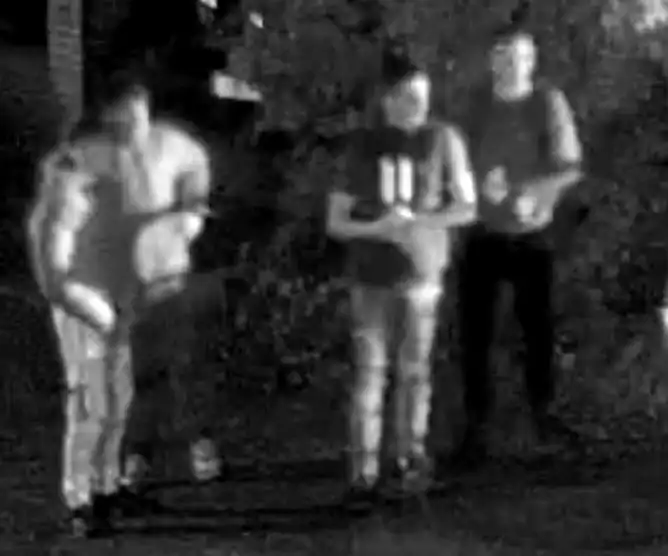 Dorset Police are keen to trace these people in connection with the incident at Flameburst fireworks at Verwood. Picture: Dorset Police