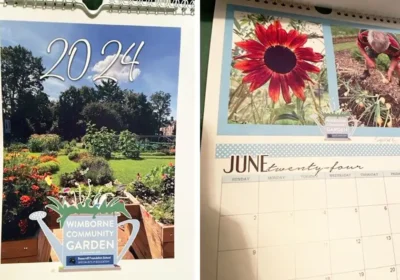 The Wimborne Community Garden calendar is available for £8