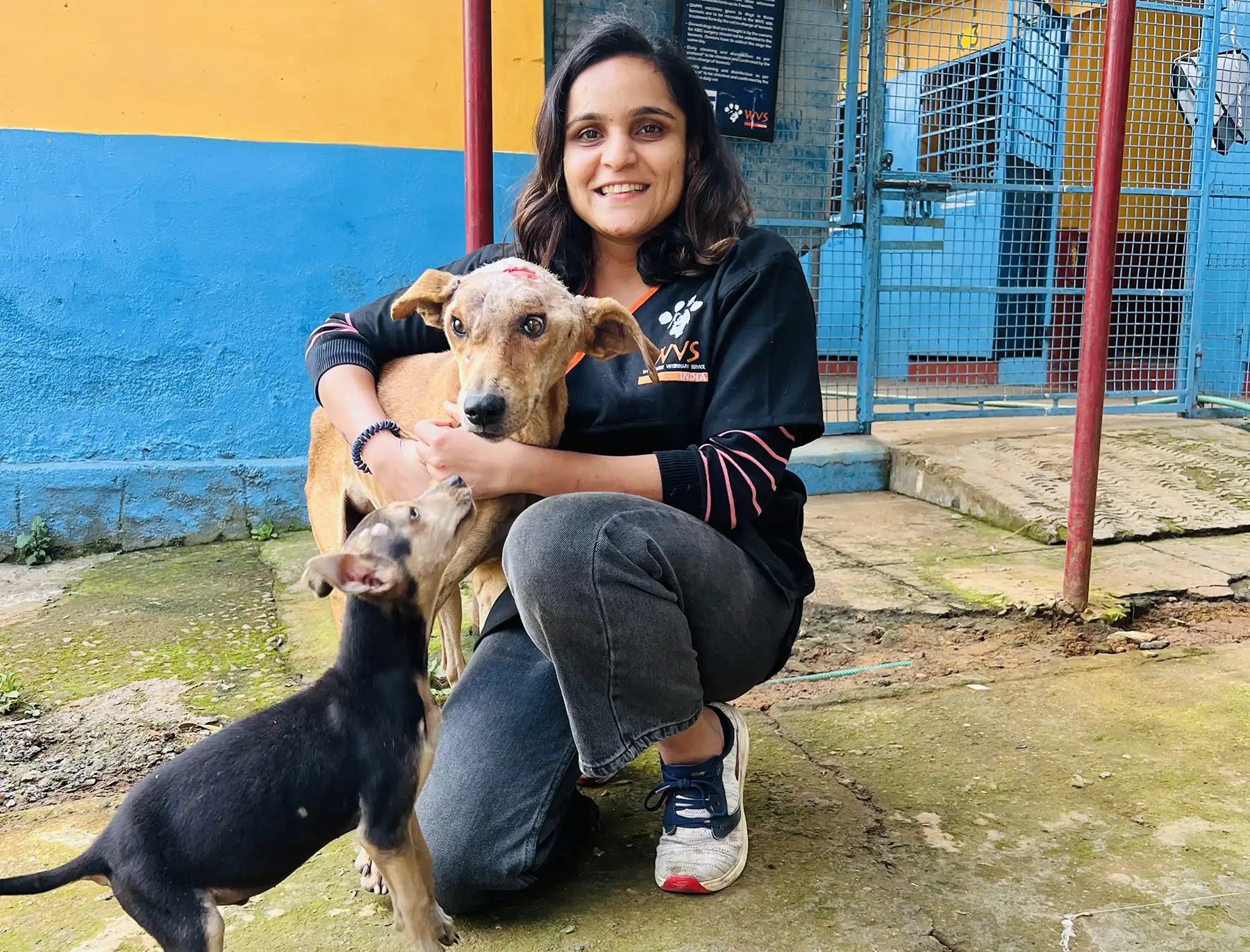 Dr Shreya Bahl, resident vet at WVS India, with Biggie after his operation. Picture: WVS