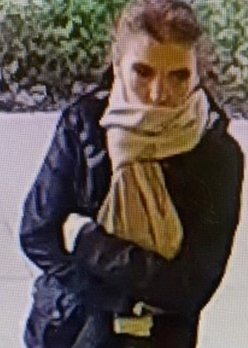 Officers want to identify this person. Picture: Hampshire Police