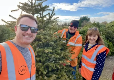 Volunteers collected more than !,000 trees from across Dorset