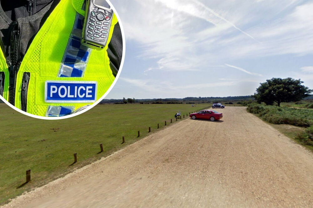 A car was broken into in the Whitemoor Car Park, in the New Forest. Picture: Google