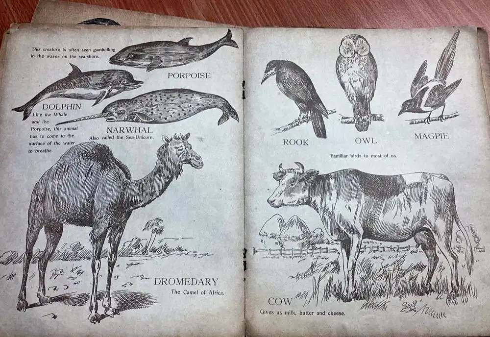 Pages inside Father Tuck's Book of Animal Life
