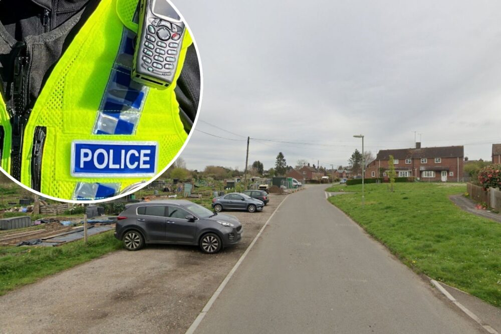 A spate of thefts and vehicle break-ins happened in the Picket Close area of Fordingbridge, police said. Picture: Google