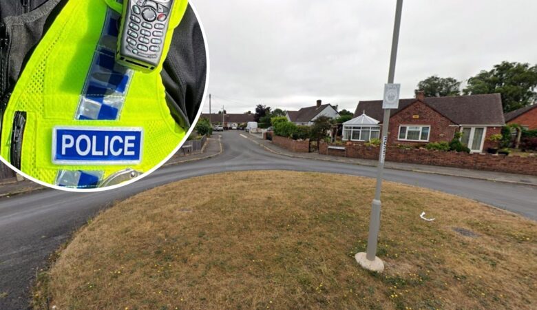 The incident unfolded in the Emberley Close area of Ferndown. Picture: Google