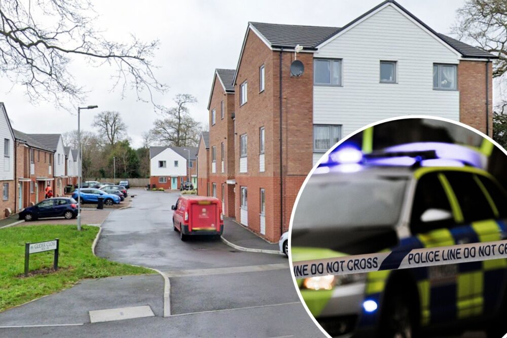 Police were called to Gilder Close, Christchurch, on Tuesday evening. Picture: Google