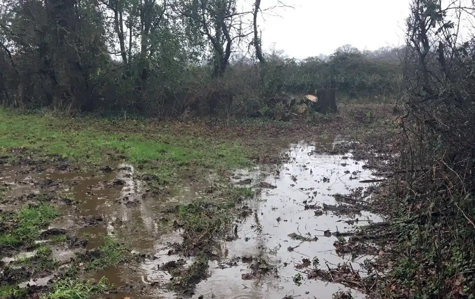 Slurry polluted a stream at Hanford, near Blandford, the court heard. Picture: EA/Gov