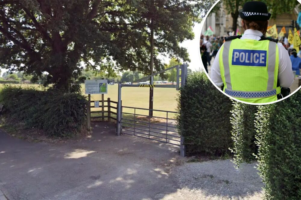 The incident is alleged to have occurred at Fordingbridge Recreation Ground. Picture: Google