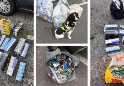 Some of the illegal items seized in Dorset. Picture: Dorset Council