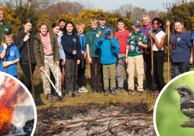 Salisbury Scouts also witnessed a demonstration of controlled gorse burning Picture Mark Warner