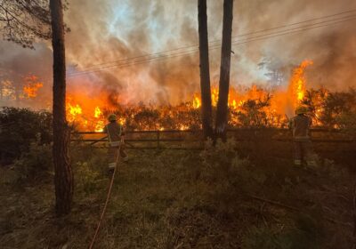 Around one hectare of heathland was affected by the fire Picture: DWFireRescue