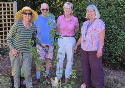 The garden team putting the final touches on the garden Picture: Cranborne Practice