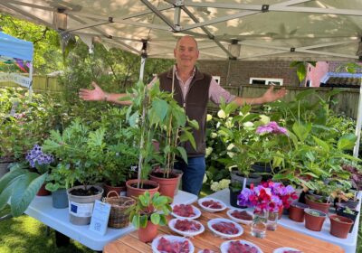 There will be a wide selection of plant stalls on offer Picture: Museum of East Dorset