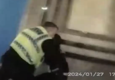 The arrest saw the officer sacked Picture: Dorset Police YouTube