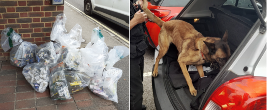 A specialist tobacco detection dog was used in the operation Picture: Dorset Council