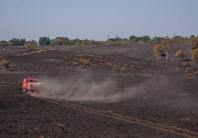 177 acres (72 hectares) of land has now been affected by the fire Picture: DWF&R