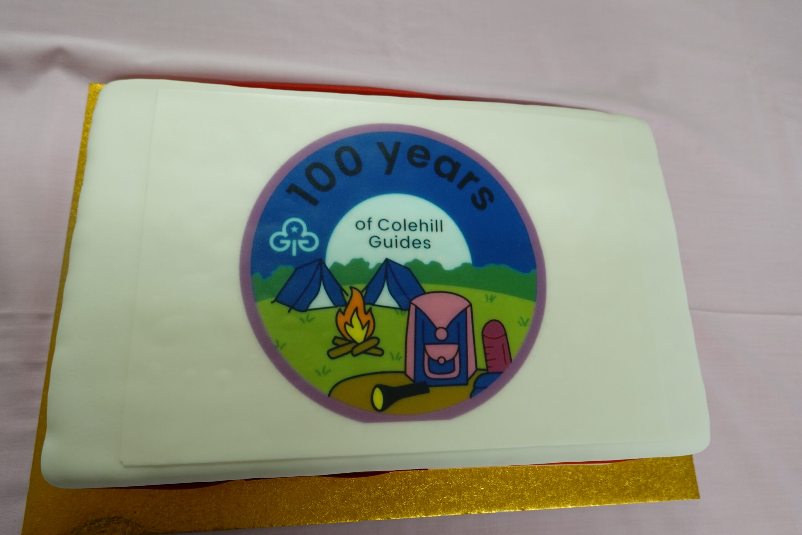 The cake that was made especially for the celebration Picture: Colehill Guides
