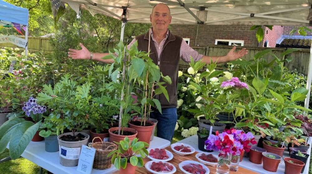 From plot to plate at Wimborne Food Festival Picture: Museum of East Dorset