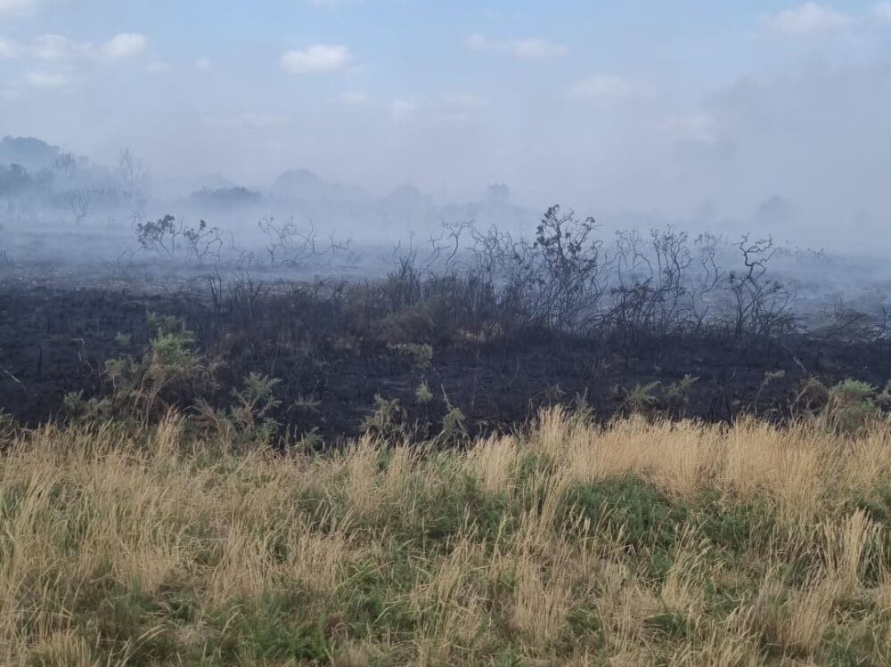 Firefighters fught the fire, on Holt Heath, near Wimborne, for hours. Picture: DWFRS