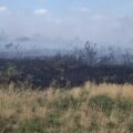 Firefighters fught the fire, on Holt Heath, near Wimborne, for hours. Picture: DWFRS