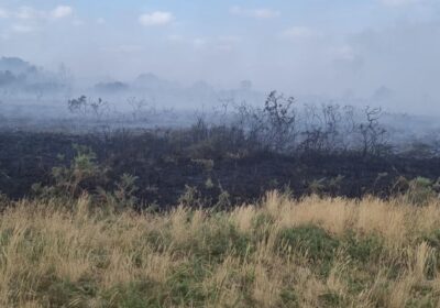 Firefighters fught the fire, on Holt Heath, near Wimborne, for hours. Picture: DWFRS
