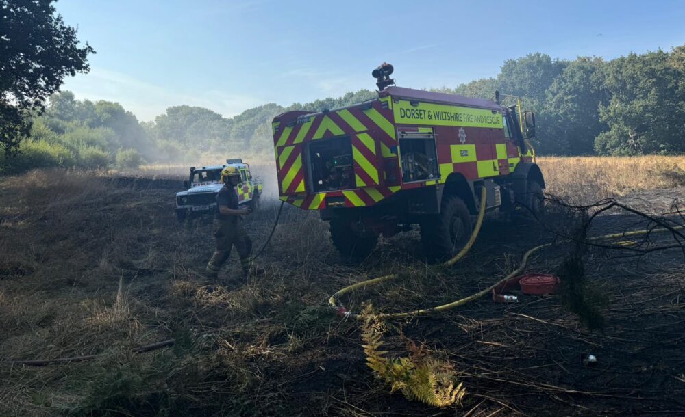 15 fire engines were deployed to tackle the blaze Picture: Dorset & Wiltshire Fire and Rescue Service