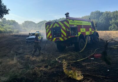 15 fire engines were deployed to tackle the blaze Picture: Dorset & Wiltshire Fire and Rescue Service