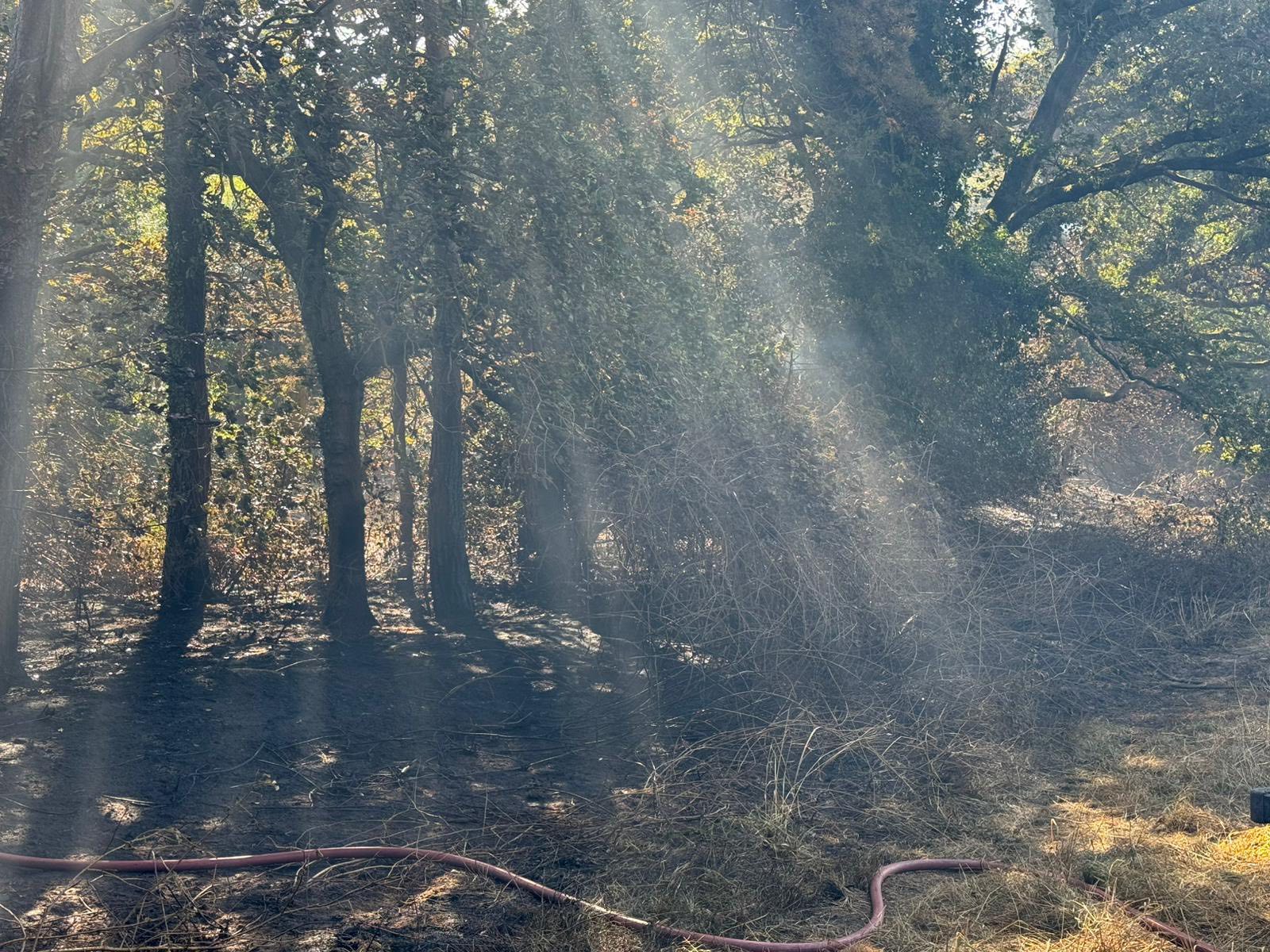 Picture: Dorset & Wiltshire Fire and Rescue Service
