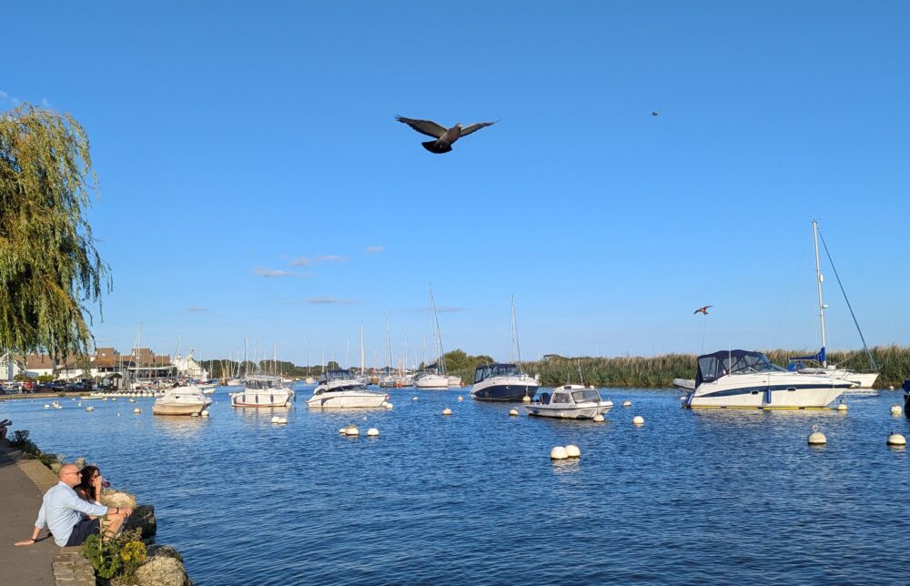 The River Stour is set to be a hub of activity this Saturday (August 13) Picture: Christchurch River Pageant