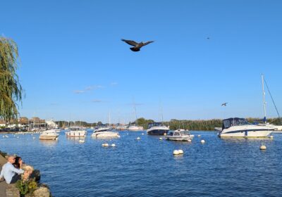 The River Stour is set to be a hub of activity this Saturday (August 13) Picture: Christchurch River Pageant
