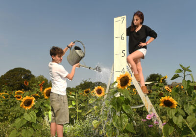 Stella Stefanini (12) and Kayden Johnstone (13) take stock and give a boost to some of the Sunflowers at the Picking Patch Picture: Russell Sach