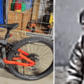 The stolen bike, left, and the man police are trying to identify Pictures: Dorset Police