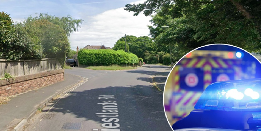 Two boys between 10 and 12 were reportedly in the area at the time Picture: Google