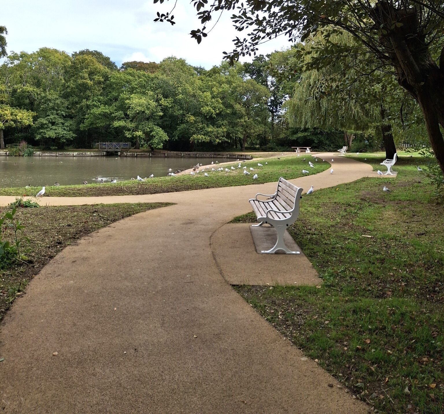 Some of the new seating Picture: New Forest District Council