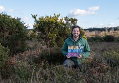 This initiative will restore vital heathland habitats, boost biodiversity, and make our landscapes more resilient for the future Picture: Dorset Council