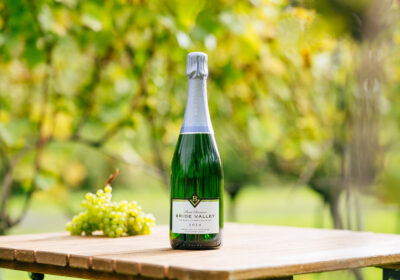 Come and sample Dorset-produced wines courtesy of Bride Valley Vineyard Picture: Bride Valley Vineyard