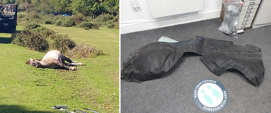 The driver failed to stop at the scene Pictures: New Forest Police