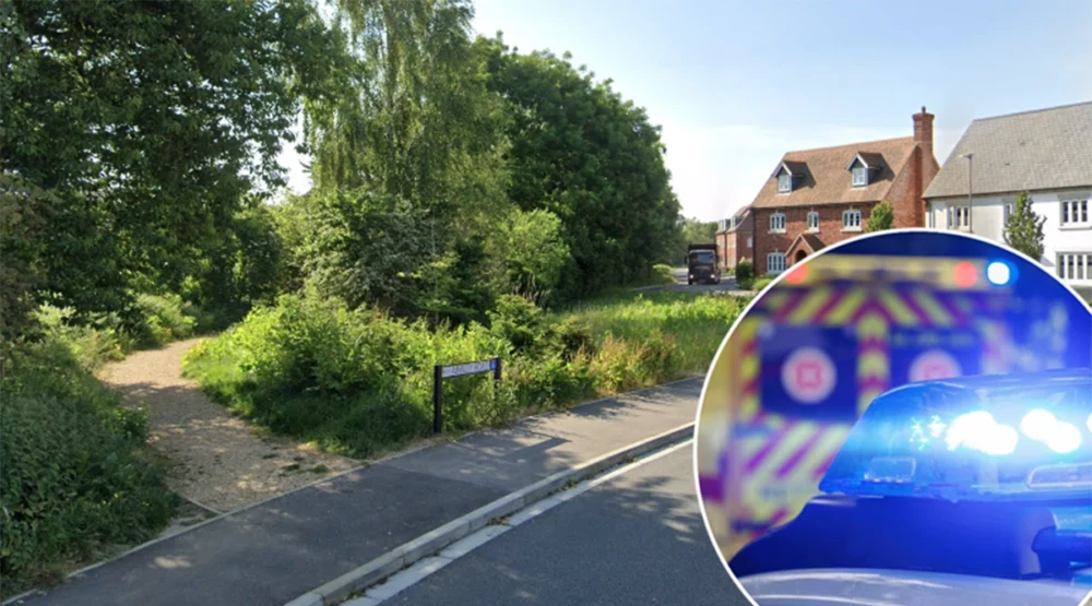 Police are appealing for witnesses to come forward Picture: Google