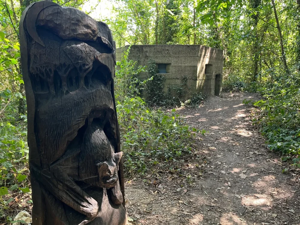 The pillbox has been carefully adapted to suits the bats' needs Picture: BCP Council