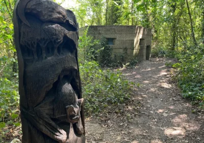 The pillbox has been carefully adapted to suits the bats' needs Picture: BCP Council