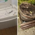 Equipment was damaged and walls daubed with grafitti during the incidents in Blandford. Pictures: Blandford Forum Town Council