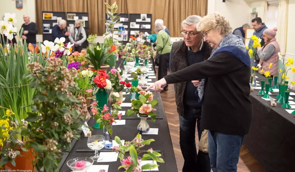 Verwood Spring Show is set to take place on March 21