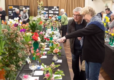 Verwood Spring Show is set to take place on March 21