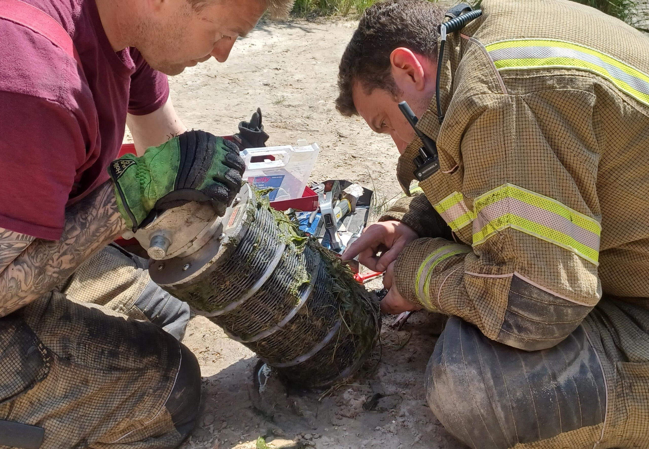 Firefighters releasing newts from the filter. Picture: UHP