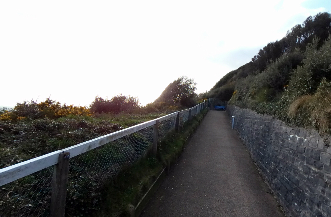 Partial human remains were found off the Manor Steps Zig Zag last month. Picture: Google